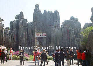 Stone Forest